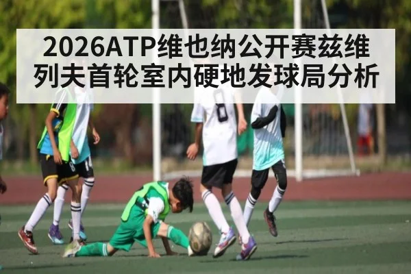 2026ATP维也纳公开赛兹维列夫首轮室内硬地发球局分析